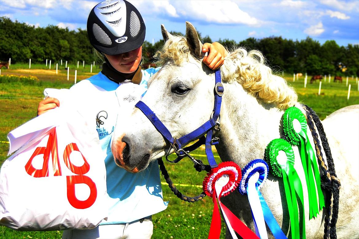 Anden særlig race scooby(Solgt og savnet<3) - pony-uge 
Dejlige dreng 5 år og fik placering i 4-5 klasser og tror det var 5 plads i hold uden placering ;) billede 9