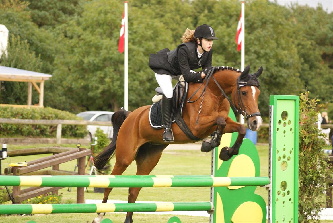 Arabisk fuldblod (OX) Emma OX - Mig og Emma OX <3 billede 1