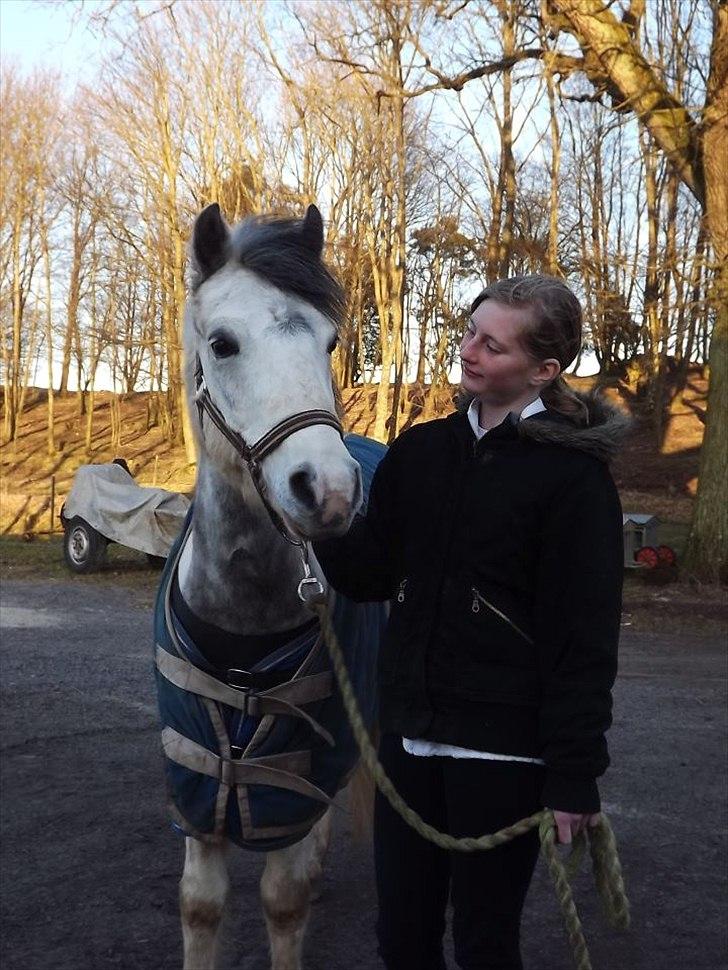 Anden særlig race Müseli<3 ( bornholms og klub mester ) - Første dag hjemme hos mig:)<3 billede 4