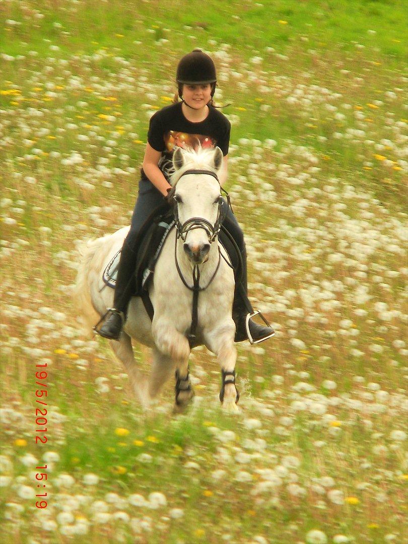 Anden særlig race Cedric Vasseur - <3 billede 3
