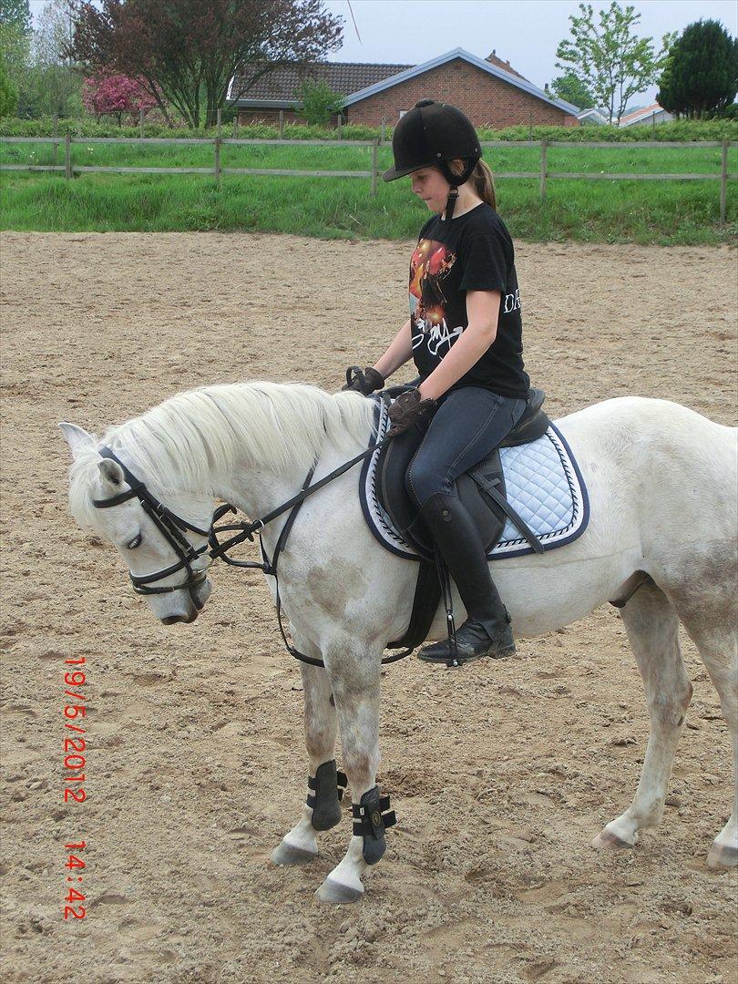 Anden særlig race Cedric Vasseur - <3 billede 4