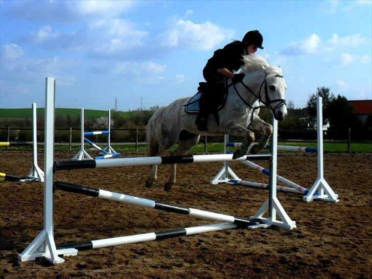 Anden særlig race Cedric Vasseur - <3 billede 5