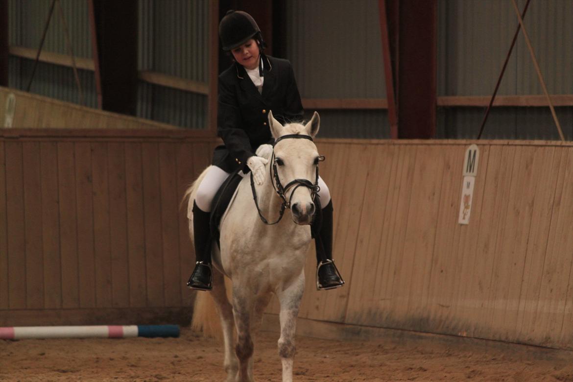 Anden særlig race Cedric Vasseur - min bedste ven!<3 billede 9