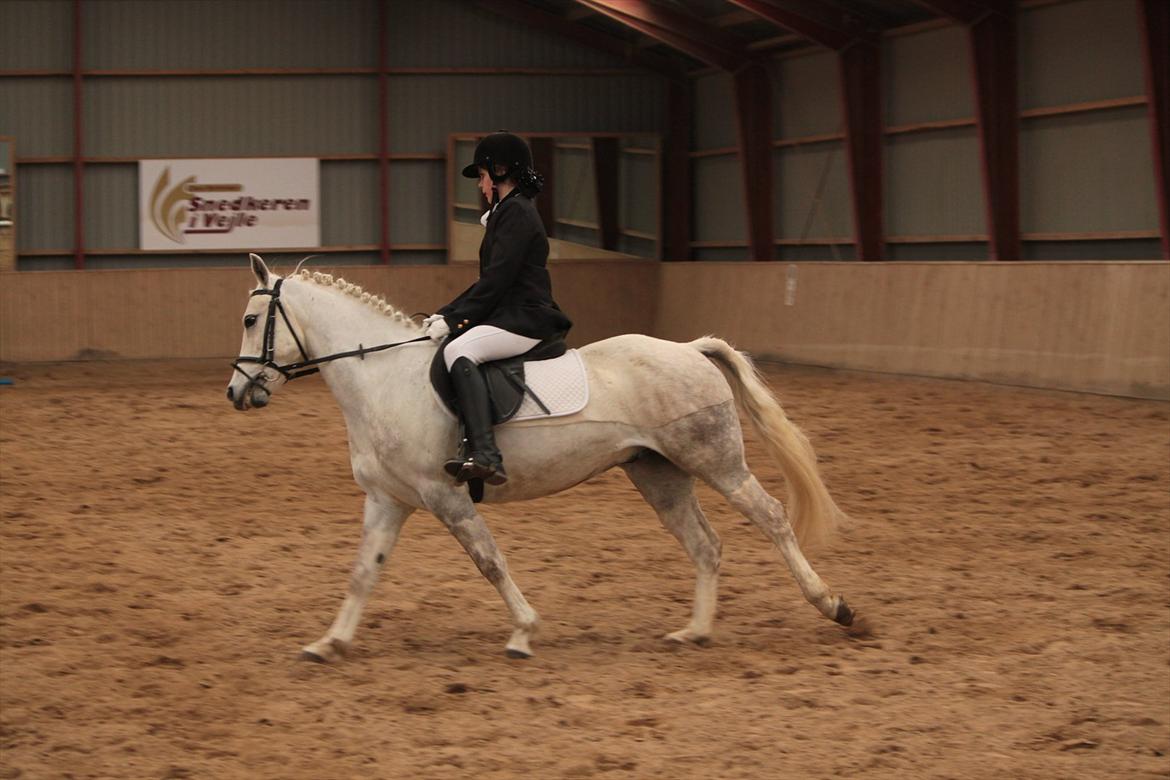 Anden særlig race Cedric Vasseur - Hvis du bad mig råbe til hele verden at jeg elsker dig, så ville jeg hviske i dit øre, fordi du er hele min verden!<3<3<3 billede 11