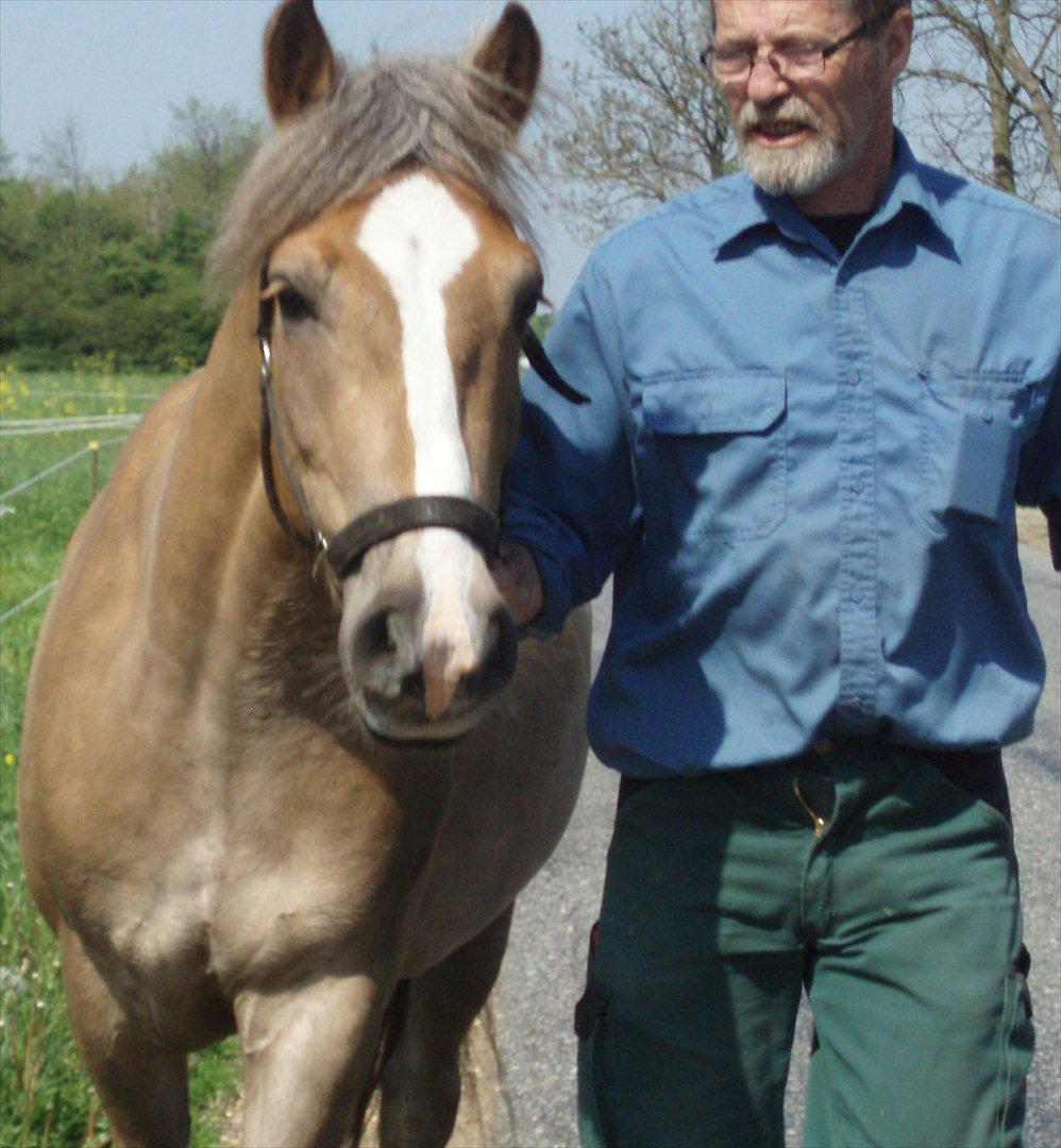 Anden særlig race RAS "Flotte fyr" - på vej på fold d. 20 Maj 2012 billede 16