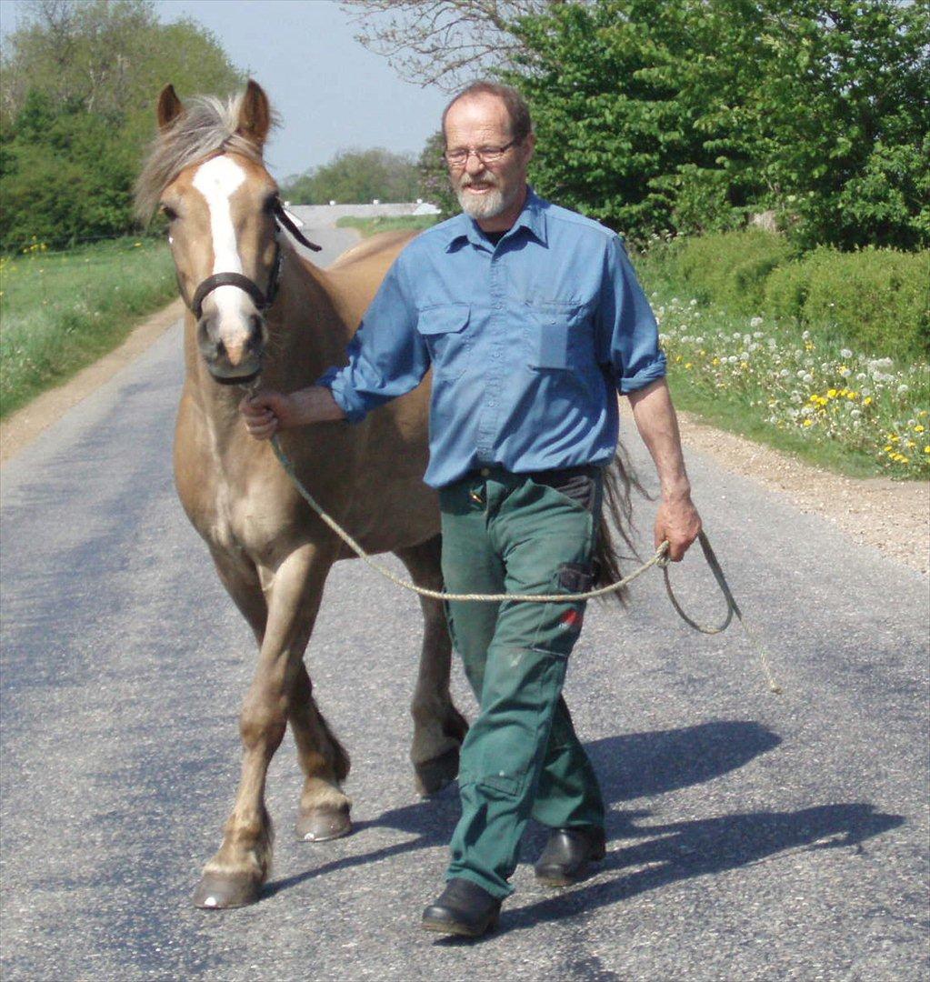 Anden særlig race RAS "Flotte fyr" billede 18