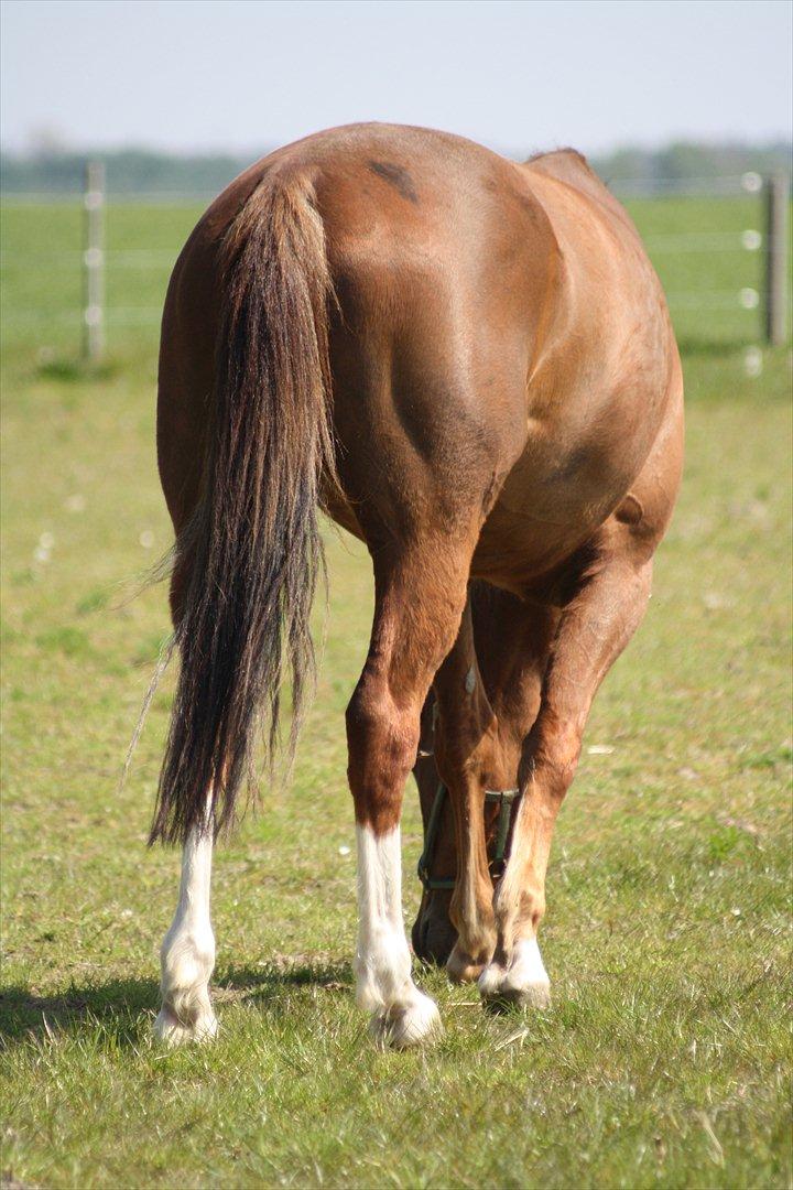 Traver Powerful Winning - TAK FORDI DU KIGGEDE FORBI ;) billede 8