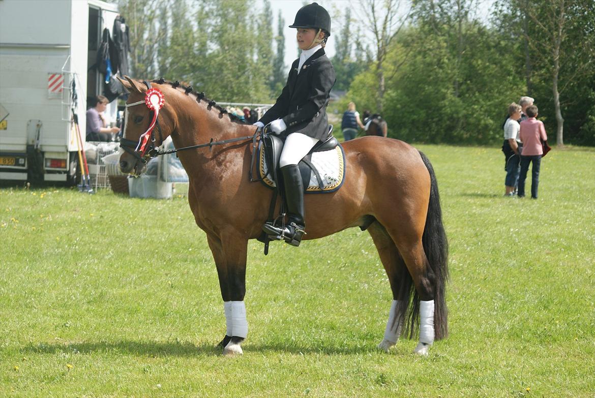 New Forest Stabygårds Casper - Vinder af 3. afdeling land&fritidcup. LC2 - 71.34% - TNKR billede 13