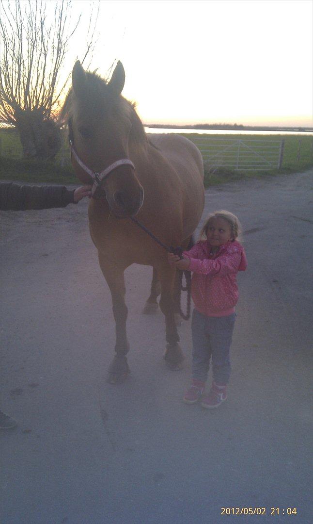 Anden særlig race Di'Mani's Freja billede 11