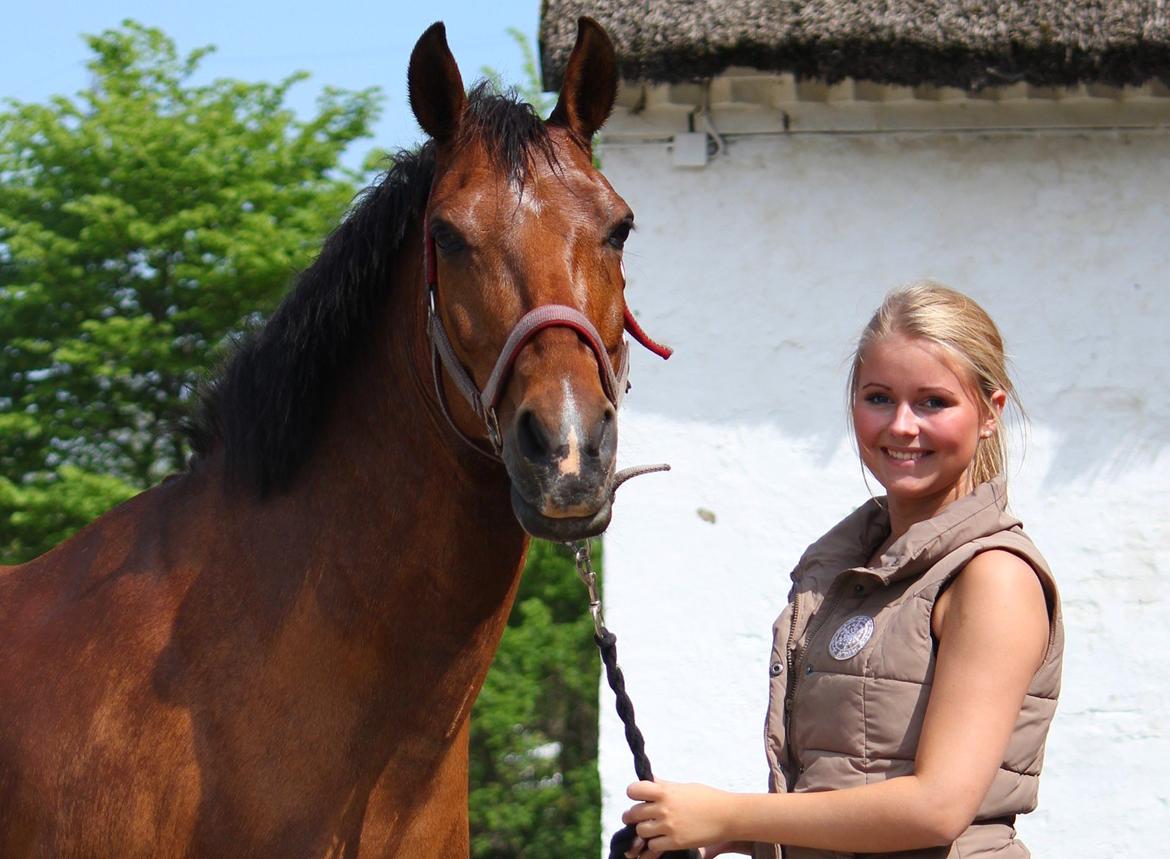 Hollandsk Sportspony Aurora Monique <3 - <3 billede 7