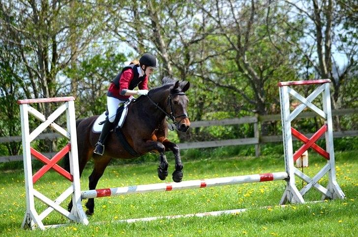 Anden særlig race Jannie<3 - 3. kvalifikation til stafetspring. Vi gik desværre ikke videre:( Foto: Cat billede 7