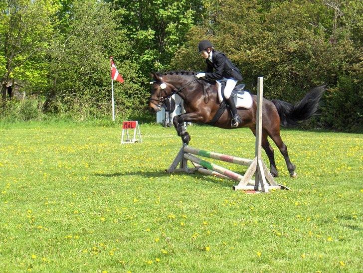 Anden særlig race Jannie<3 - Military stævne i Jordrup, i springningen;) Foto: Gitte billede 8