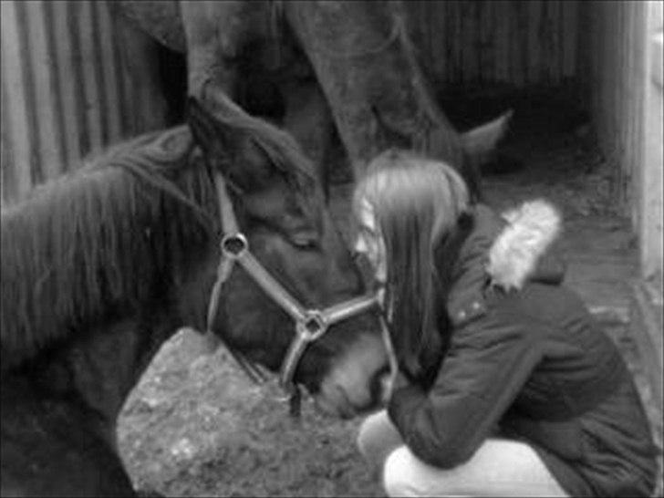 Anden særlig race Egekvist's Chili - Prinsesse <3 billede 7