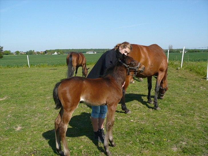 Traver Aqua De Vie  billede 8