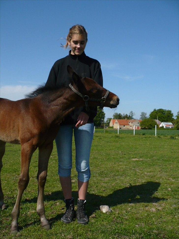 Traver Aqua De Vie  billede 10