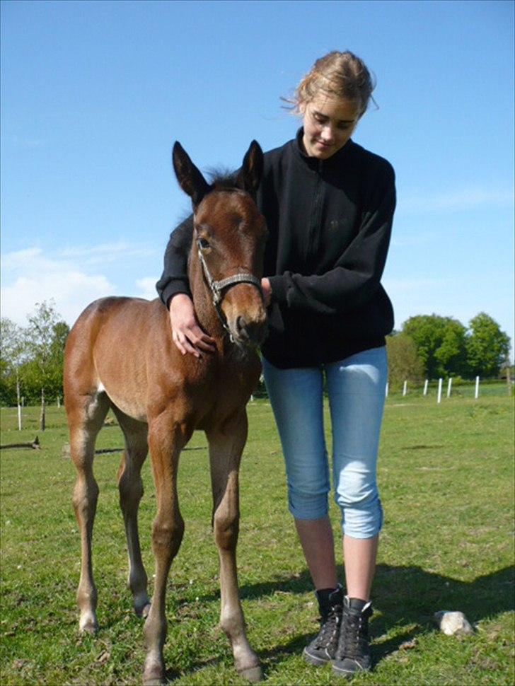 Traver Aqua De Vie  billede 11