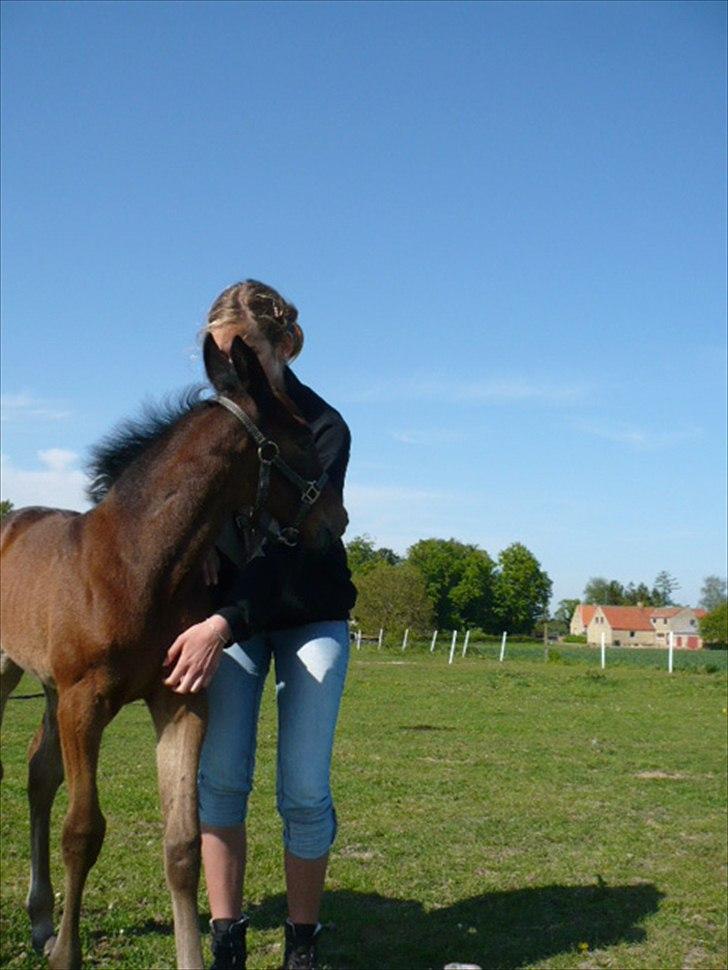 Traver Aqua De Vie  billede 13