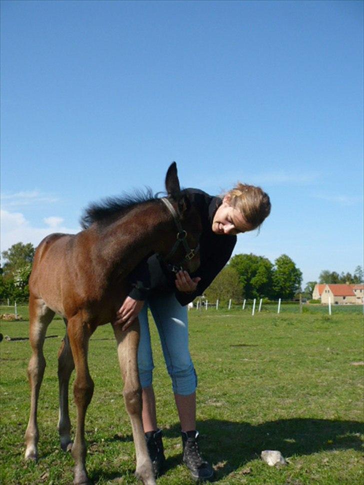 Traver Aqua De Vie  billede 15