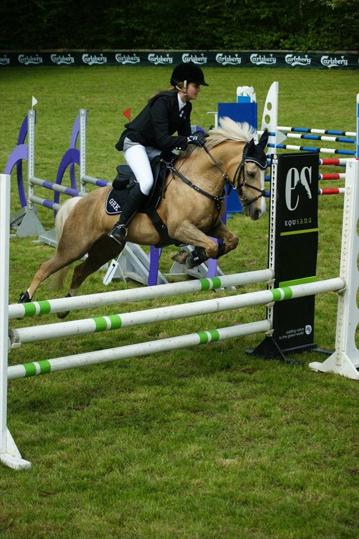 Anden særlig race Silver<3. - SJM for hold<3 billede 11