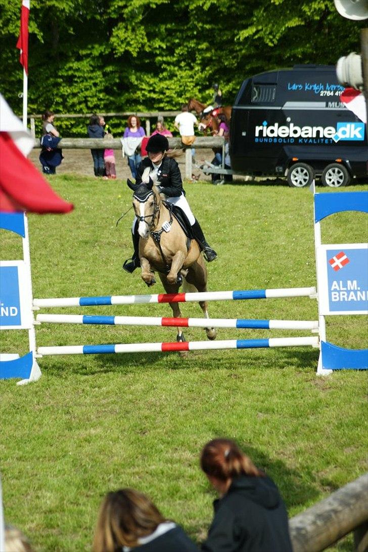 Anden særlig race Silver<3. - SJM<3 billede 13