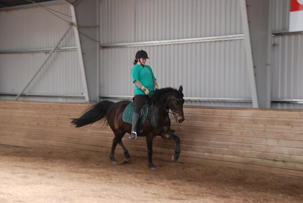 Anden særlig race Thyra - Øgning på den gamle :-) Hun strækker sig dog ikke så godt som kan gøre ;D billede 6