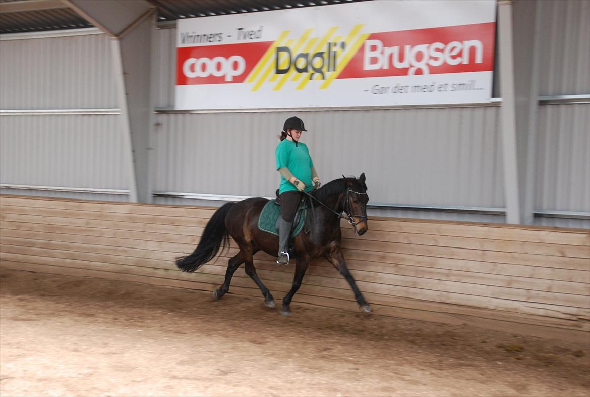 Anden særlig race Thyra - Øgning igen :'b billede 7