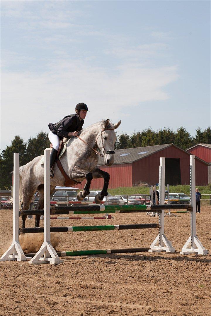 Anden særlig race <3 Domingo <3 billede 4