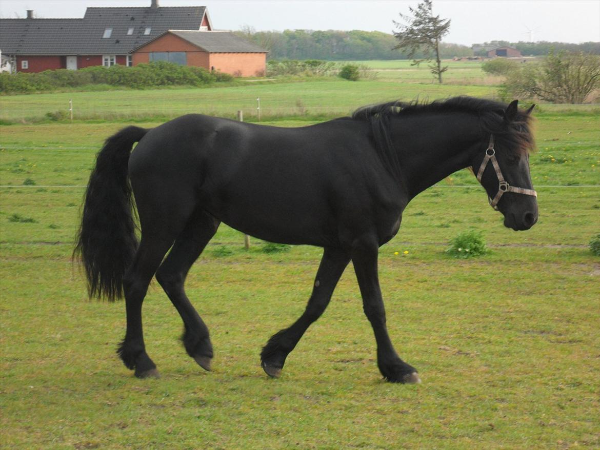Frieser Ileana - 2 år  billede 16
