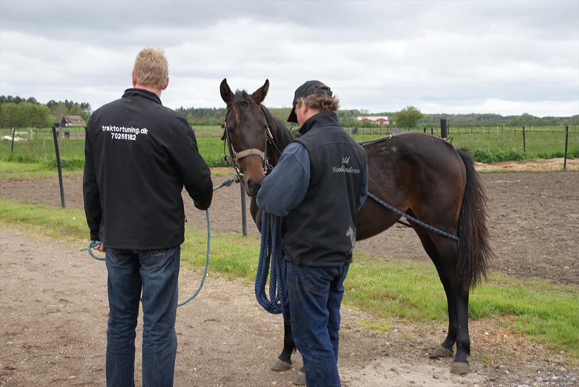 Traver Walkabout - Walkabout den 17 Maj 2012 billede 13