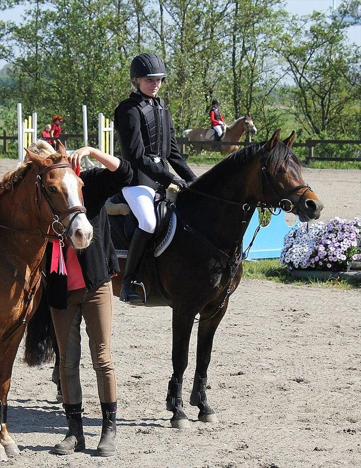 New Forest Glenwood Maple Hill - Præmieoverrækkelse :D<3
2plads i LD** billede 20