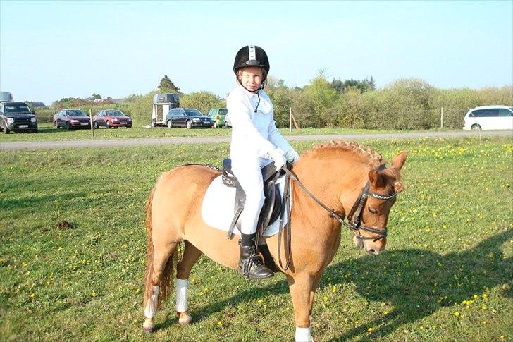 Anden særlig race Snuggi - Det er i Ørnhøj 2011 da vandt jeg klassen billede 1