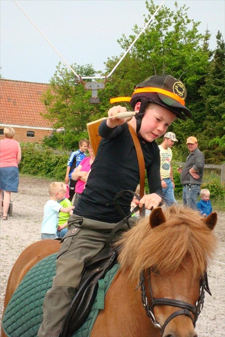 Anden særlig race Snuggi billede 3