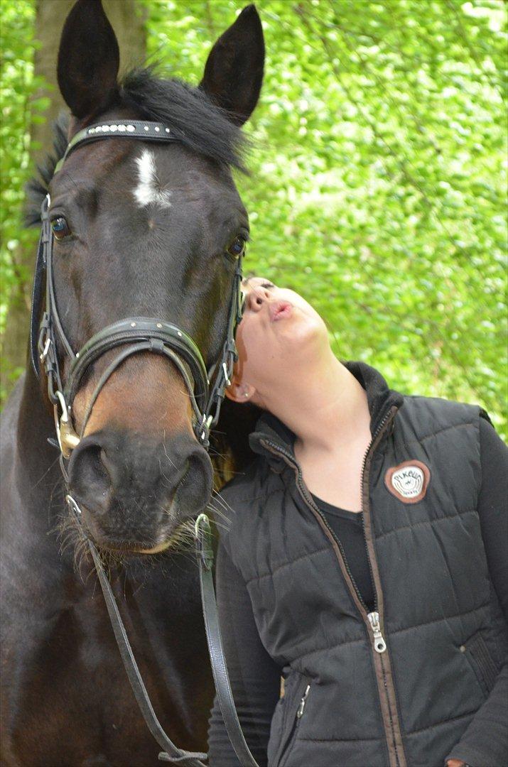 Hannoveraner Rushmore billede 2