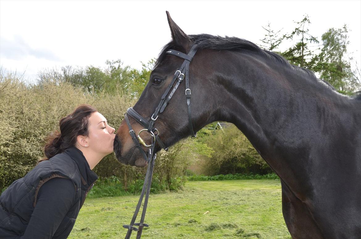 Hannoveraner Rushmore billede 9