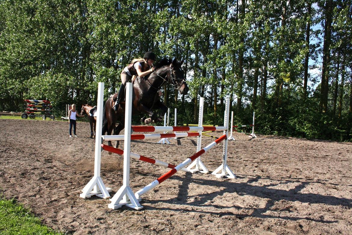 Traver Tokama - Lækker stil over 1.20  billede 5