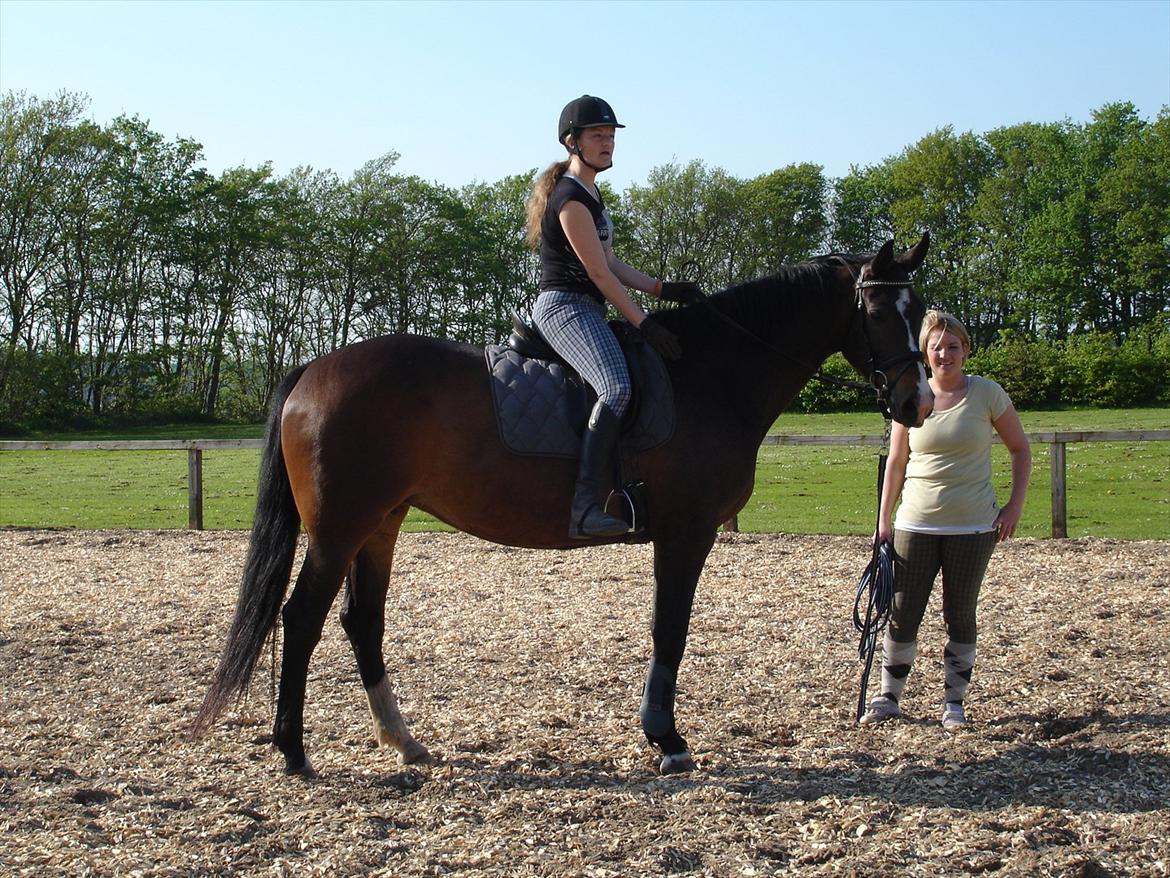 Oldenborg Bella Tisted - Bella, maj 2012, det er 2 1/2 år siden hun sidst havde rytter på, hun klarede det så fint. billede 18