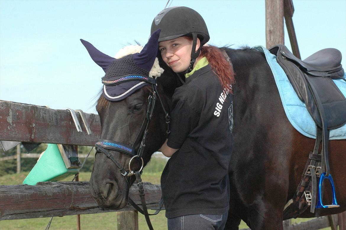 Knabstrupper Calista R.I.P. 05-03-13 - En meget træt lille hest! Hun elsker bare det der hygge!<3 Maj 2012 *Foto: Forældre* billede 7