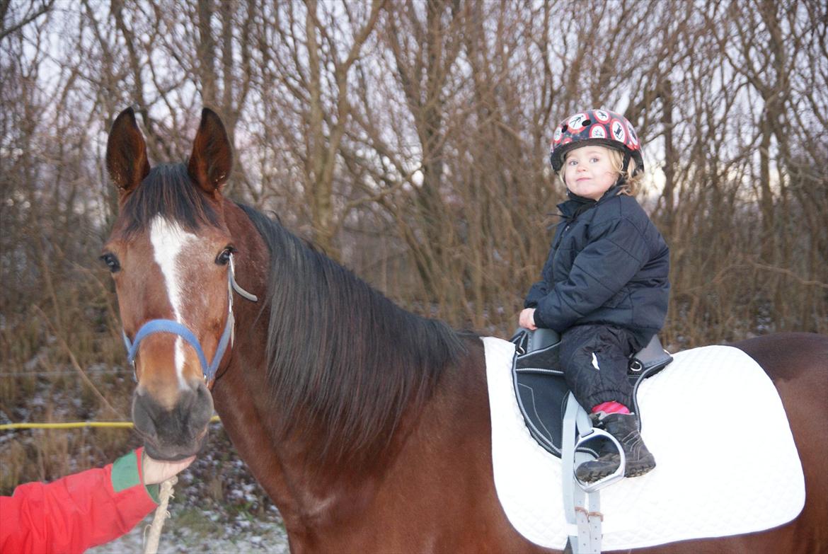 Traver Dupont - Dupont januar 2012 billede 8