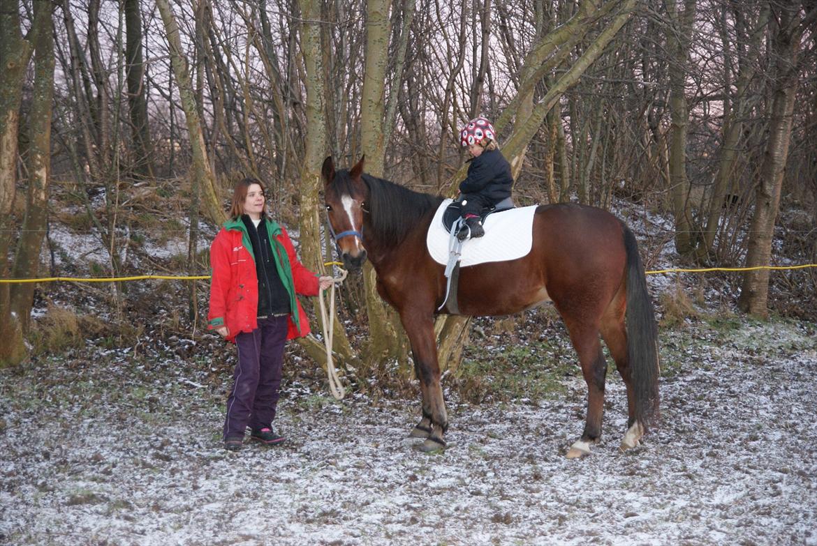 Traver Dupont - Dupont januar 2012 billede 9