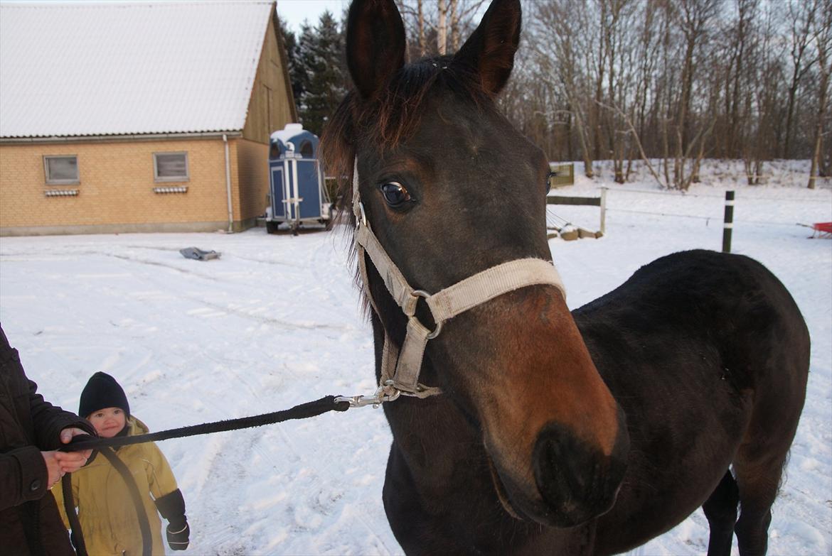 Traver Walkabout - Walkabout januar 2012 billede 17