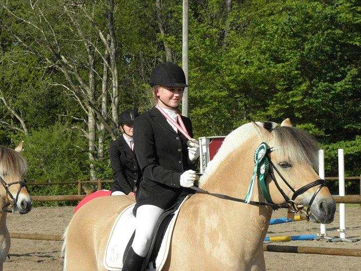 Fjordhest Florian Skovå - DM 2012 Bronze vinder<33 er ret stolt! ;) billede 4