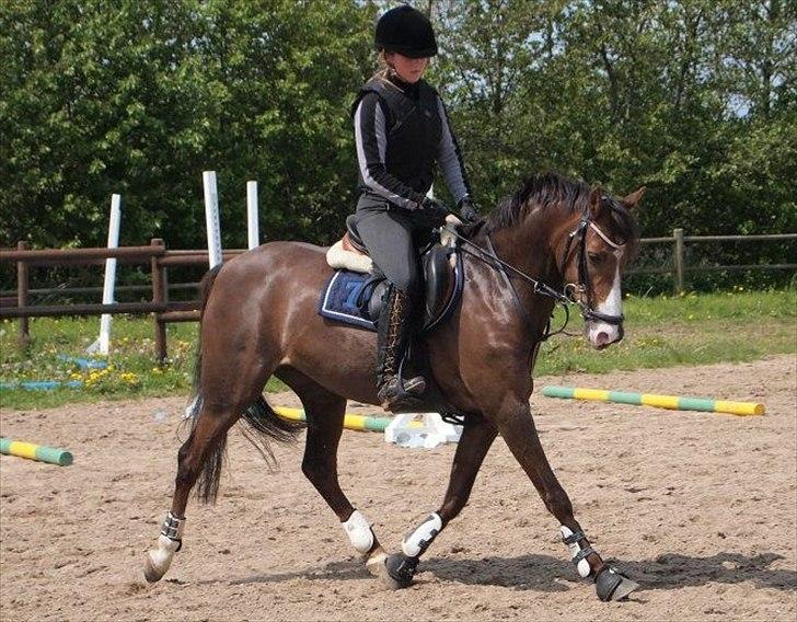 DSP Fanny  - Den. 17/05 - 12 billede 19