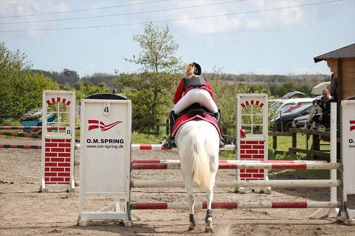 Anden særlig race Ellegårdens Bjarne a.k.a Casmir - FMR LA KLUB CUPPEN<3 billede 13