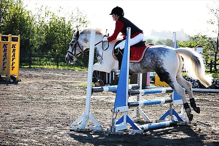 Anden særlig race Ellegårdens Bjarne a.k.a Casmir - LB FMR Klub Cuppen!<3 billede 14