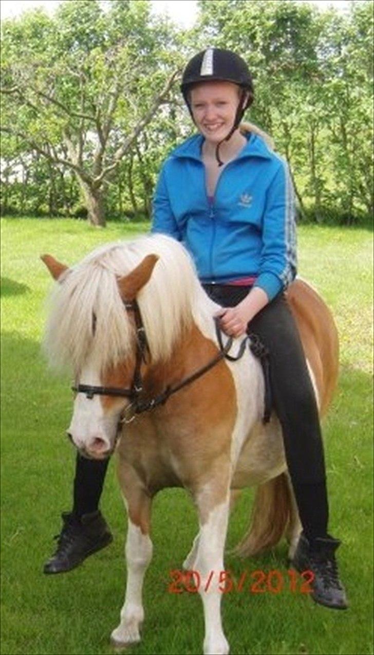 Anden særlig race Frida  - Velkommen til Frida's profil! (:
Maj 2012 - 7 gang med rytter.. billede 1