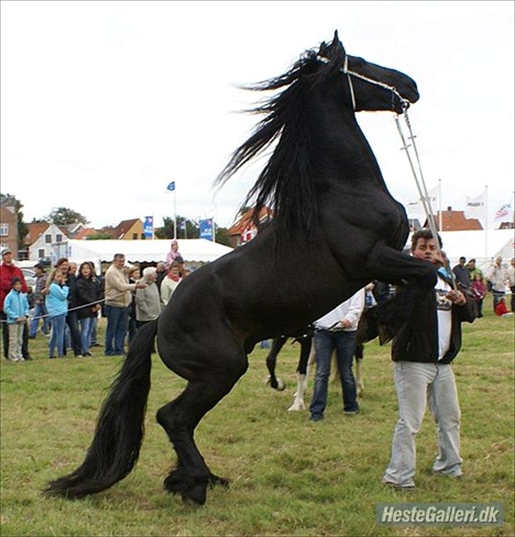 Frieser  Guido Van Robico billede 4