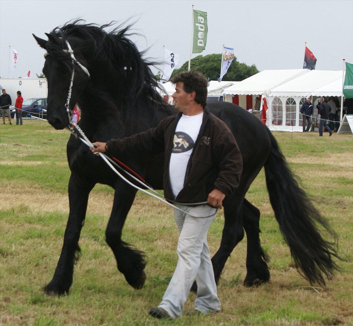 Frieser  Guido Van Robico billede 11