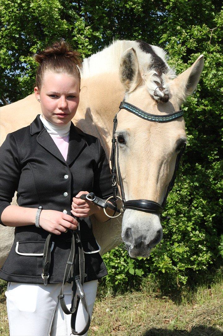 Fjordhest Cox Tidselbjerg*stjernen* - Tak for en fantastisk tid Cox! <3 Tak for alle minderne, tak for alle resultaterne, tak for alt! <3 Jeg elsker dig<3 Jeg finder nok aldrig en så trofast makker igen, og finder aldrig en der kan tage din plads i mit hjerte!!! <3 billede 19