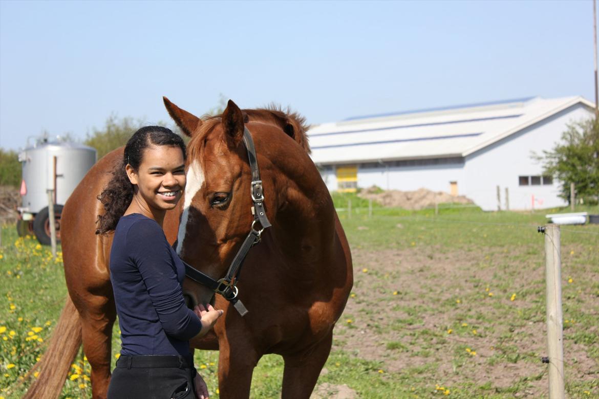 Dansk Varmblod Stedets Leda (Lille Liden) *Min øjesten* - En dag med Anne hvor vi tog billeder på folden! Du er så smuk! 
20/5 2012 billede 15