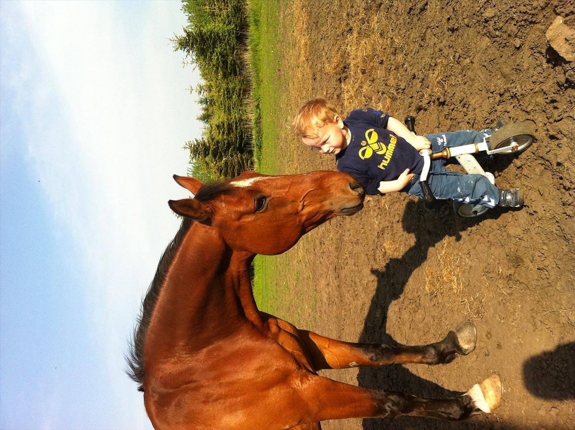 Anden særlig race Sunny -min solstråle<3 - Sunny og pelle :) billede 13